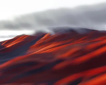 Beneath the cities, the roots still speak softly